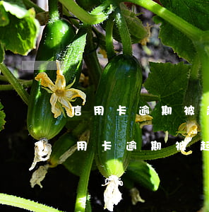 信用卡逾期被起訴了法院是怎么處理的-信用卡逾期被起訴了法院是怎么處理的