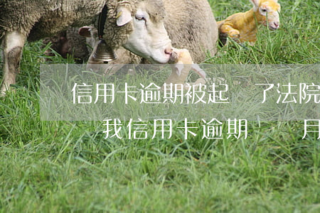 信用卡逾期被起訴了法院是會留給我房子住嗎(我信用卡逾期幾個月了他們說要告我上法院)