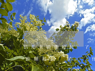信用卡逾期被起訴了準備什么材料-信用卡逾期被起訴了準備什么材料呢