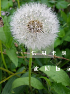 信用卡逾期被起訴了要不要去法院(有信用卡逾期被起訴的嗎)