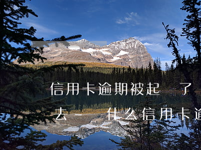 信用卡逾期被起訴了開(kāi)庭了去不去-為什么信用卡逾期銀行不起訴