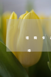 信用卡逾期被起訴事件(信用卡逾期被起訴事件)
