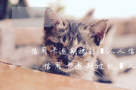 信用卡逾期被起訴人人信用發(fā)信息-信用卡逾期被起訴人人信用發(fā)信息怎么辦