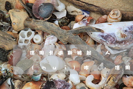 信用卡逾期被起訴人沒應(yīng)訴會(huì)咋樣-信用卡逾期被起訴人沒應(yīng)訴會(huì)咋樣呢