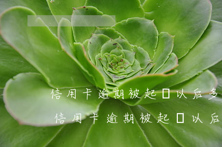 信用卡逾期被起訴以后多久執(zhí)行(信用卡逾期被起訴以后多久執(zhí)行)