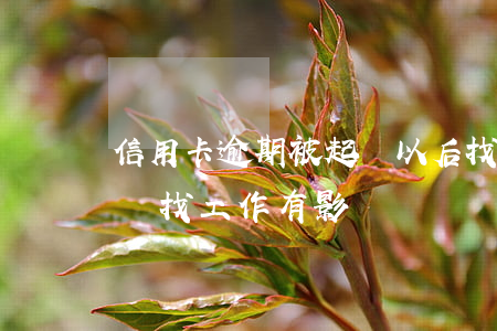 信用卡逾期被起訴以后找工作-逾期被起訴對找工作有影響嗎