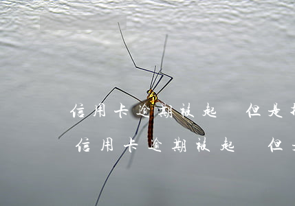 信用卡逾期被起訴但是找不到本人怎么辦-信用卡逾期被起訴但是找不到本人怎么辦
