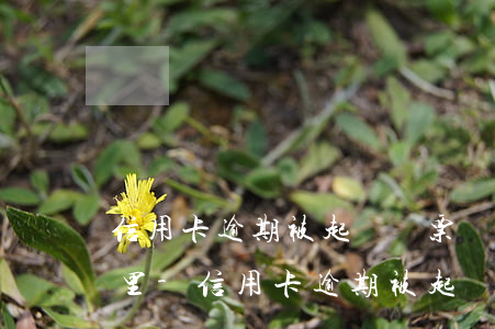 信用卡逾期被起訴傳票會(huì)送到哪里-信用卡逾期被起訴傳票會(huì)送到哪里去