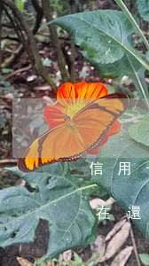 信用卡逾期被起訴再還(法院現(xiàn)在還接受信用卡逾期案件嗎)