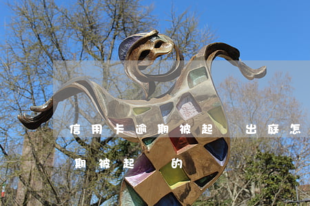 信用卡逾期被起訴出庭怎么應對(有信用卡逾期被起訴的嗎)