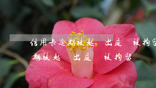 信用卡逾期被起訴出庭會被拘留嗎（信用卡逾期被起訴出庭會被拘留嗎）