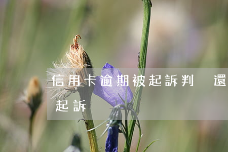信用卡逾期被起訴判決還清(欠信用卡被法院起訴)