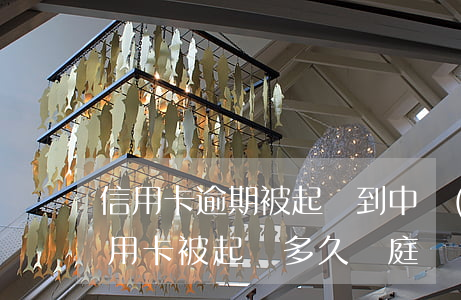 信用卡逾期被起訴到中級(jí)法院(欠信用卡被起訴多久開庭)