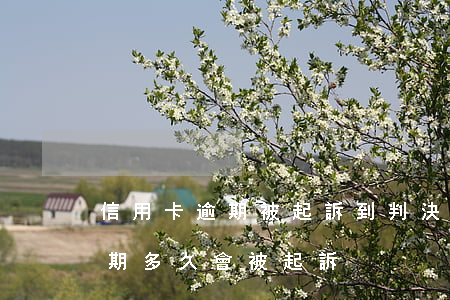 信用卡逾期被起訴到判決需要多久(“信用卡逾期多久會被起訴”)