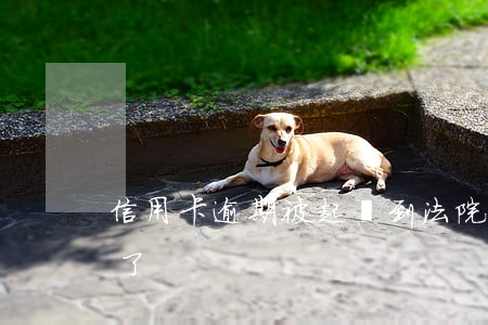 信用卡逾期被起訴到法院了(欠信用卡被起訴了)