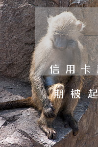 信用卡逾期被起訴到法院怎么辦-信用卡逾期被起訴到法院怎么辦