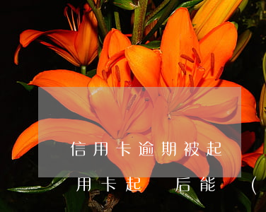 信用卡逾期被起訴協(xié)商不了(欠信用卡起訴后能協(xié)商嗎)