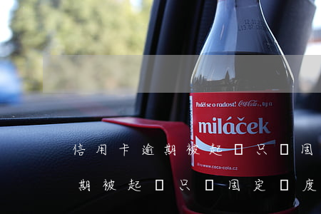 信用卡逾期被起訴只還固定額度嗎(信用卡逾期被起訴只還固定額度嗎)