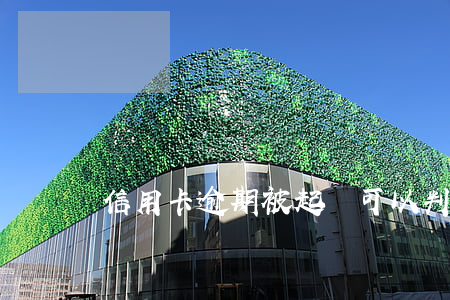 信用卡逾期被起訴可以判多少年