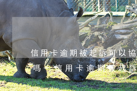 信用卡逾期被起訴可以協(xié)商退案嗎-信用卡逾期被起訴可以協(xié)商退案嗎知乎