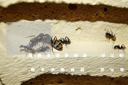 信用卡逾期被起訴可以申請法律援助嗎-信用卡逾期被起訴可以申請法律援助嗎