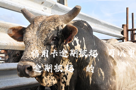 信用卡逾期被起訴可以申請立案-有信用卡逾期被起訴的嗎
