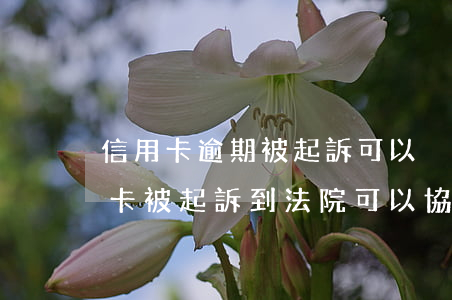 信用卡逾期被起訴可以異地撤訴嗎-欠信用卡被起訴到法院可以協(xié)調(diào)嗎