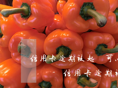 信用卡逾期被起訴可以線上應(yīng)訴嗎-信用卡逾期被起訴可以線上應(yīng)訴嗎怎么辦