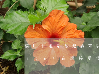 信用卡逾期被起訴可以要求還款(法院現(xiàn)在還接受信用卡逾期案件嗎)