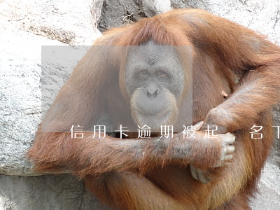 信用卡逾期被起訴名下有一套房