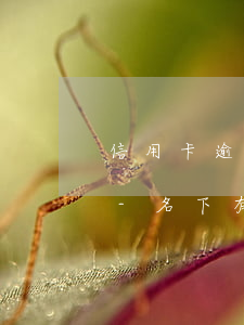 信用卡逾期被起訴名下有房產(chǎn)-名下有房產(chǎn)信用卡逾期受影響嗎