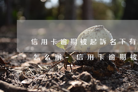 信用卡逾期被起訴名下有房產(chǎn)怎么辦-信用卡逾期被起訴名下有房產(chǎn)怎么辦