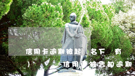 信用卡逾期被起訴名下沒有財產(chǎn)(沒辦過信用卡被告知逾期,銀行有責任嗎)