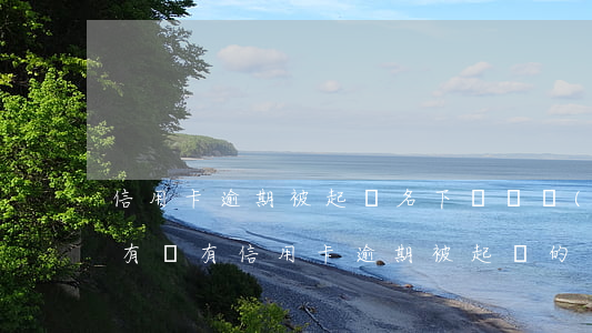 信用卡逾期被起訴名下無財產(chǎn)(有沒有信用卡逾期被起訴的)