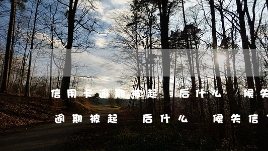 信用卡逾期被起訴后什么時候失信-信用卡逾期被起訴后什么時候失信了