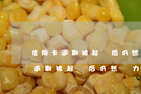 信用卡逾期被起訴后仍然無力償還-信用卡逾期被起訴后仍然無力償還怎么辦