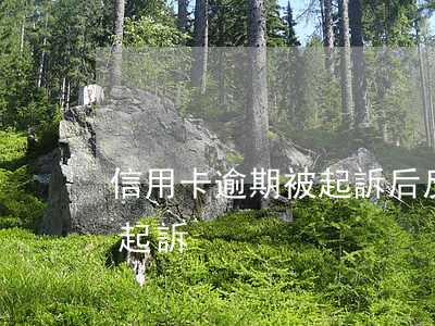 信用卡逾期被起訴后反訴(信用卡逾期被司法起訴)