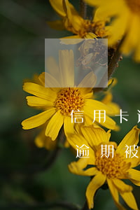 信用卡逾期被起訴后只要還本金嗎-信用卡逾期被起訴后只要還本金嗎怎么辦