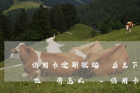 信用卡逾期被起訴后名下財產(chǎn)也沒有怎么辦-信用卡逾期被起訴后名下財產(chǎn)也沒有怎么辦
