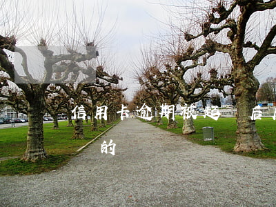 信用卡逾期被起訴后后果(有信用卡逾期被起訴的嗎)