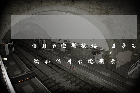 信用卡逾期被起訴后多久執(zhí)行 貸款和信用卡逾期多長時間會移交法院