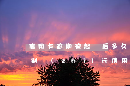 信用卡逾期被起訴后多久強(qiáng)制執(zhí)行(信用卡逾期提起訴訟后多久被執(zhí)行)
