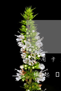 信用卡逾期被起訴后多久抓人(欠信用卡多久被起訴)