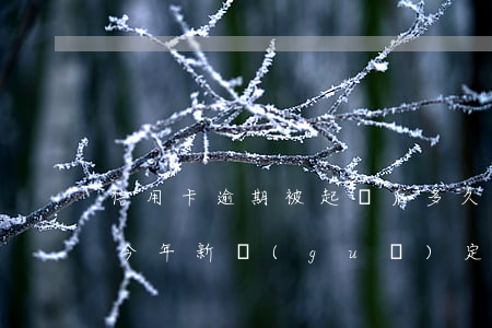 信用卡逾期被起訴后多久會執(zhí)行(今年新規(guī)定信用卡逾期多久會起訴)