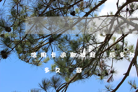 信用卡逾期被起訴后多久開庭(欠信用卡被起訴多久開庭)