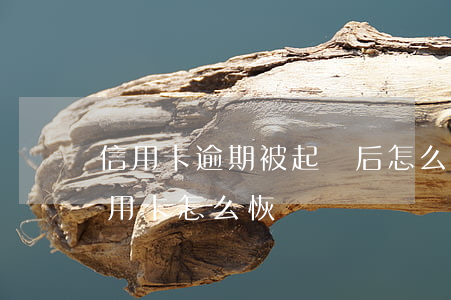 信用卡逾期被起訴后怎么撤銷(逾期停用的信用卡怎么恢復)
