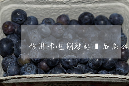 信用卡逾期被起訴后怎么通知