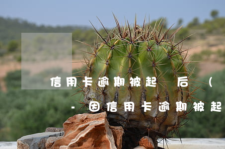 信用卡逾期被起訴后會(huì)立刻坐牢嗎-因信用卡逾期被起訴坐牢的多嗎