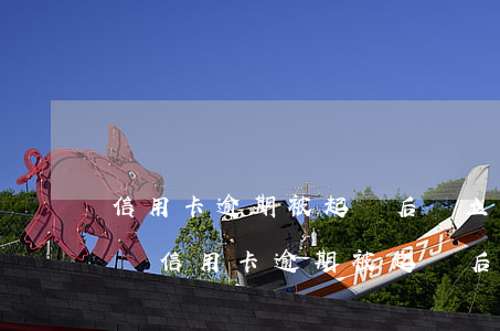 信用卡逾期被起訴后會立即執(zhí)行嗎(信用卡逾期被起訴后會立即執(zhí)行嗎)