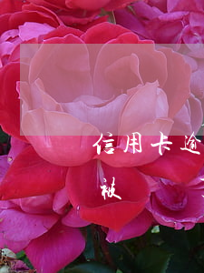 信用卡逾期被起訴后會變成老賴嗎(欠信用卡被訴訟了會怎樣?)